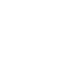 EU AI Act