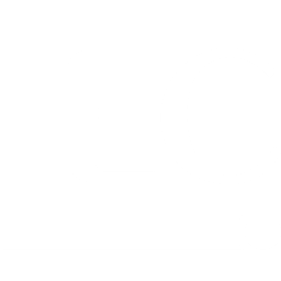 IEC 62304